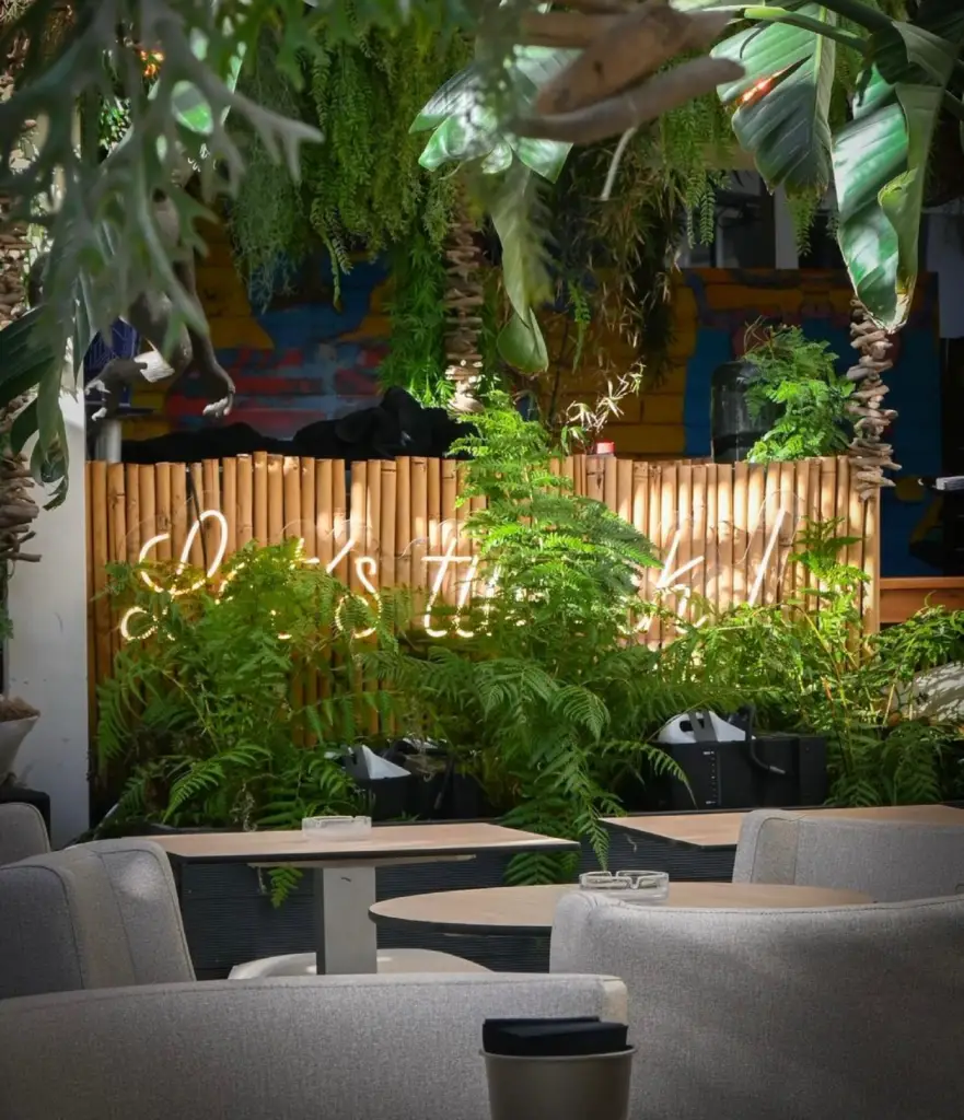 Ambiance tropicale et festive du Paseo Cocktail Club à La Grande Motte, le spot incontournable pour faire la fête en groupe