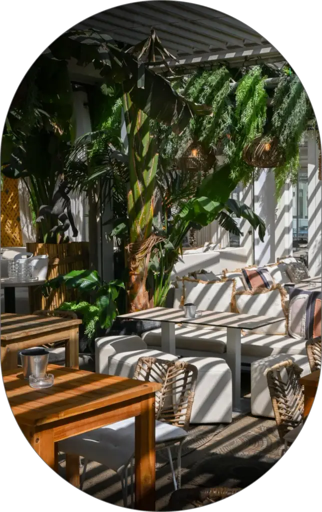 Terrasse ombragée du Paseo Cocktail Club à La Grande Motte, lieu idéal pour boire un verre entre amis face à la mer